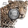 1 oz,  South Africa, 2023, Silver, Big Five II - Leopard obverse cover