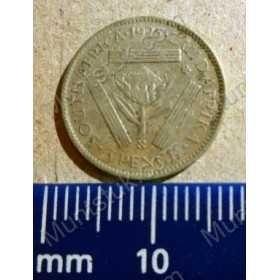 Threepence, South Africa, 1925, Silver