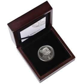 1 oz R20, South Africa, 2023, Platinum, Big Five II - Leopard, Box Open