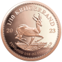 2023 Krugerrand 1/10 oz Gold coin Reverse