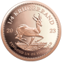 2023 Krugerrand 1/4 oz Gold coin Reverse