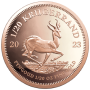 2023 Krugerrand 1/20 oz Gold coin Reverse