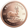 2023 Krugerrand 2 oz Gold coin Reverse