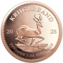 2025 Krugerrand 1 oz Reverse