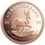 2024 Krugerrand Gold Coin 1/2 oz Reverse