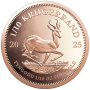 1/10 oz Krugerrand, South Africa, 2025, Gold Reverse