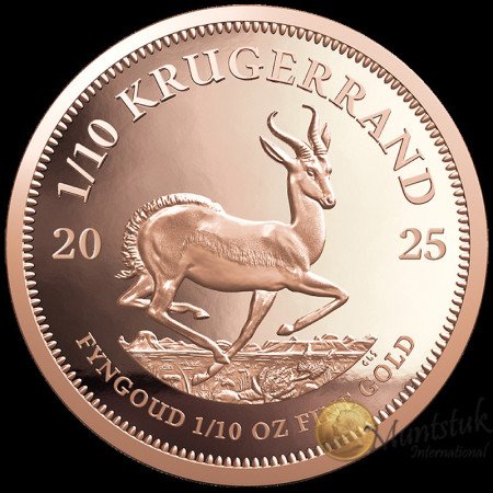 1/10 oz Krugerrand, South Africa, 2025, Gold Reverse
