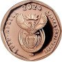 Ten Cent, South Africa, 2024, Copper Plated Steel, Afrikaans-Venda, Obverse