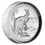 1 oz, Australia, 2013, Silver - Kangaroo, reverse side view
