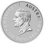 1 oz, Australian, 2024, Platinum - Kangaroo, obverse