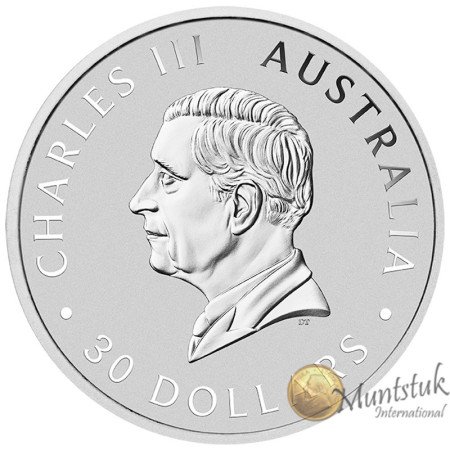 1kg, Australia, 2025, Silver - Koala, obverse