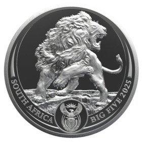 1 oz, South Africa, 2025, Silver, Big Five III - Lion obverse