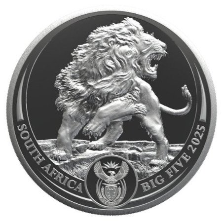1 oz, South Africa, 2025, Silver, Big Five III - Lion obverse