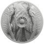 1 oz, South Africa, 2024,  Silver, Big Five II - Elephant Reverse