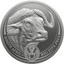 5 oz, South Africa, 2023, Silver, Big Five II - Buffalo, Obverse