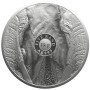 1Kg, South Africa, 2024, Silver, Big Five III - Elephant, reverse