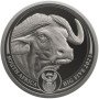 1 oz, South Africa, 2023, Platinum, Big Five II - Buffalo, Obverse