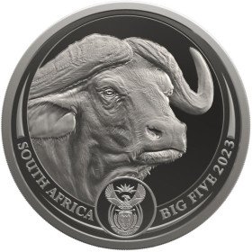 1 oz, South Africa, 2023, Platinum, Big Five II - Buffalo, Obverse
