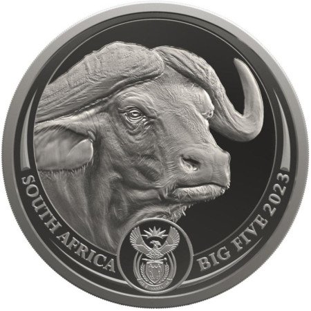 1 oz, South Africa, 2023, Platinum, Big Five II - Buffalo, Obverse