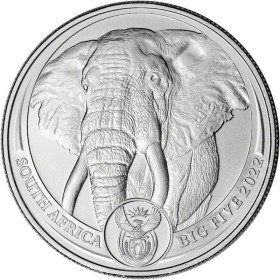1 oz, South Africa, 2022, Platinum, Big Five III - Elephant, obverse