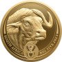 1kg, South Africa, 2023, Gold, Big Five II - Buffalo, Obverse