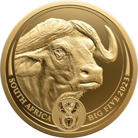 5 oz, South Africa, 2023, Gold, Big Five II - Buffalo, Obverse