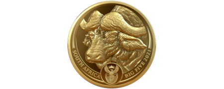 2021 South African Mint Big Five I Buffalo Coin
