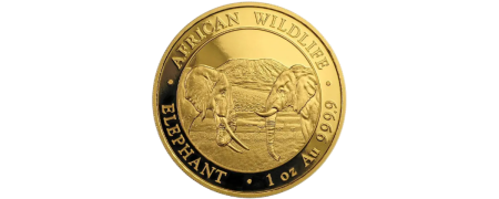 Gold African Wildlife