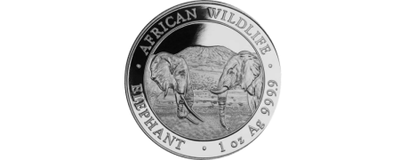 Silver African Wildlife